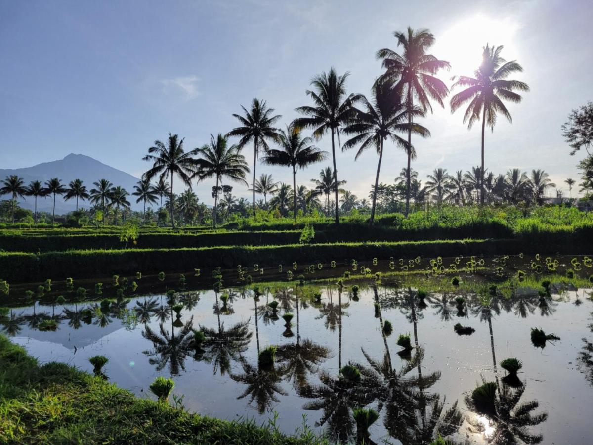 Отель Les Rizieres Lombok - Тетебату Экстерьер фото