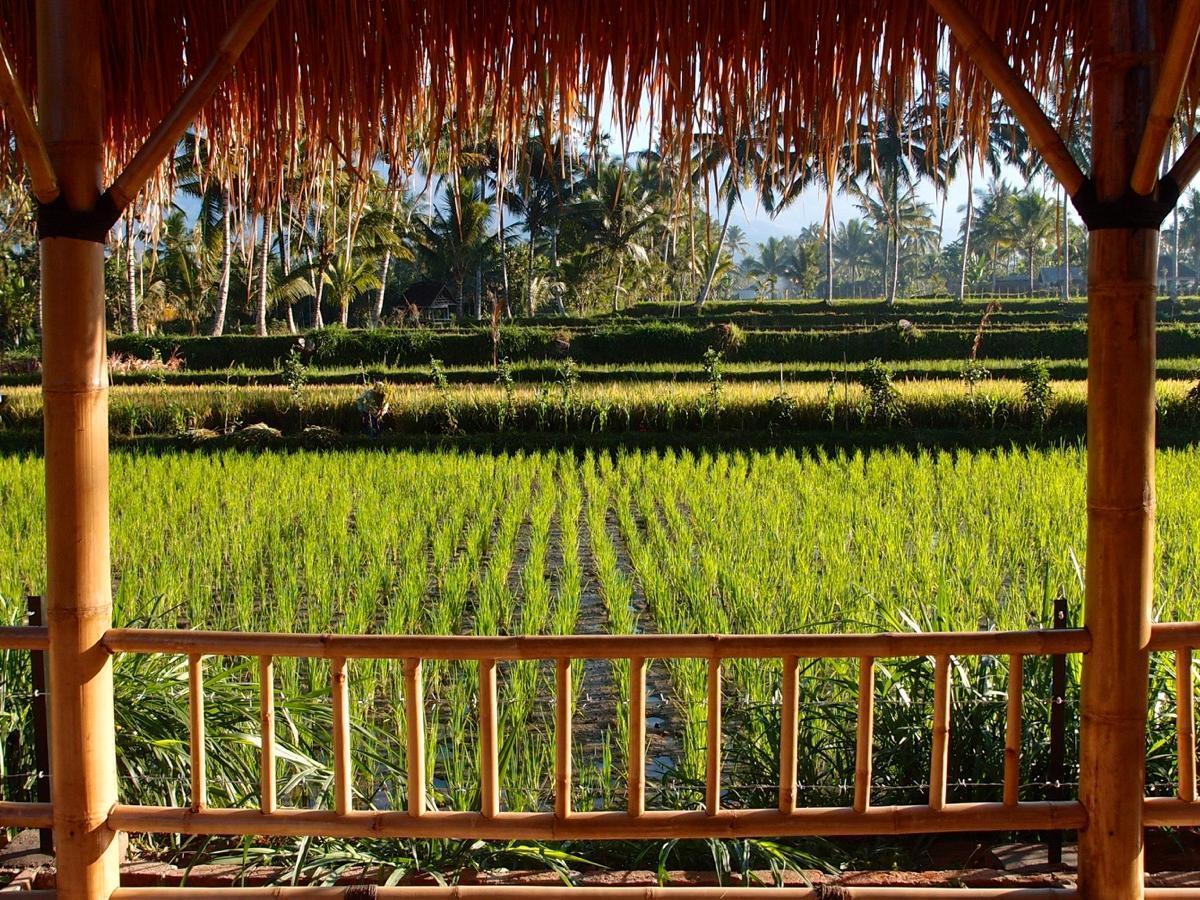 Отель Les Rizieres Lombok - Тетебату Экстерьер фото
